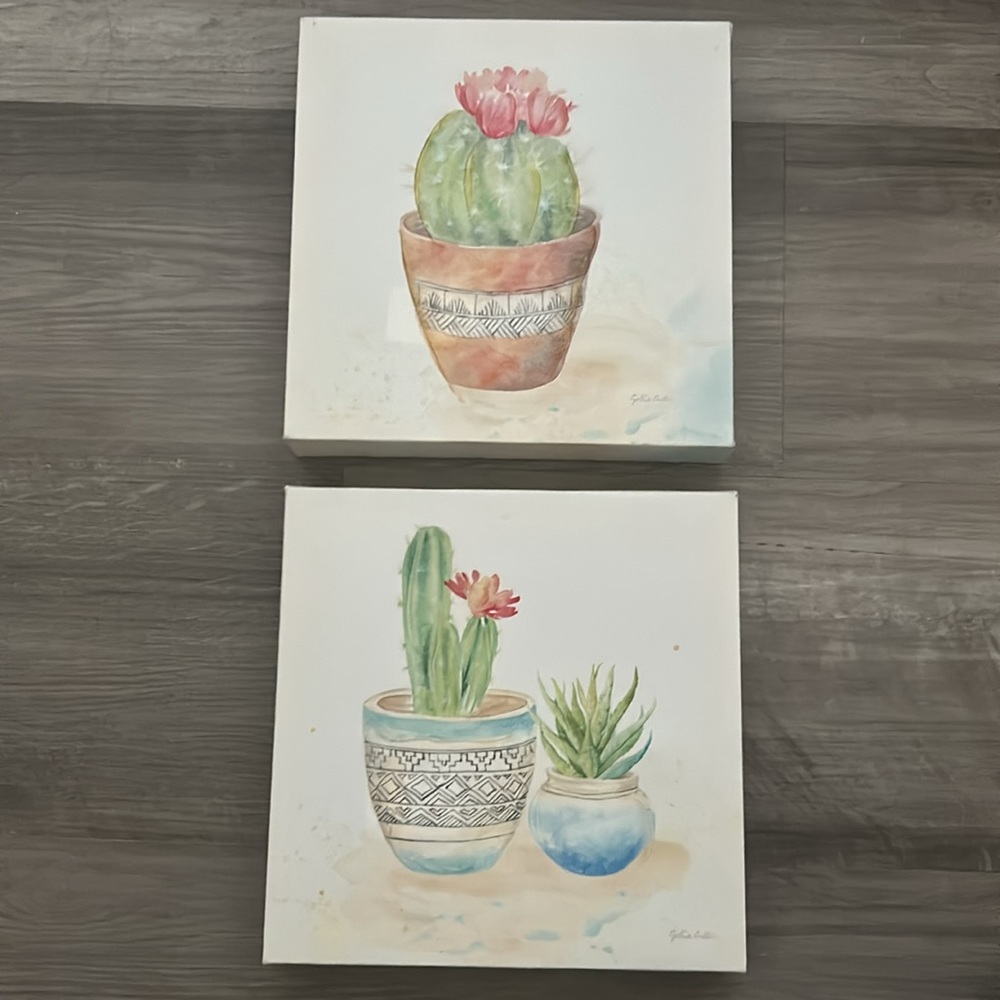 Cactus Canvas (2 pack)